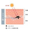 画像2: ★New★高濃度コウジ酸クリーム　3０g (2)